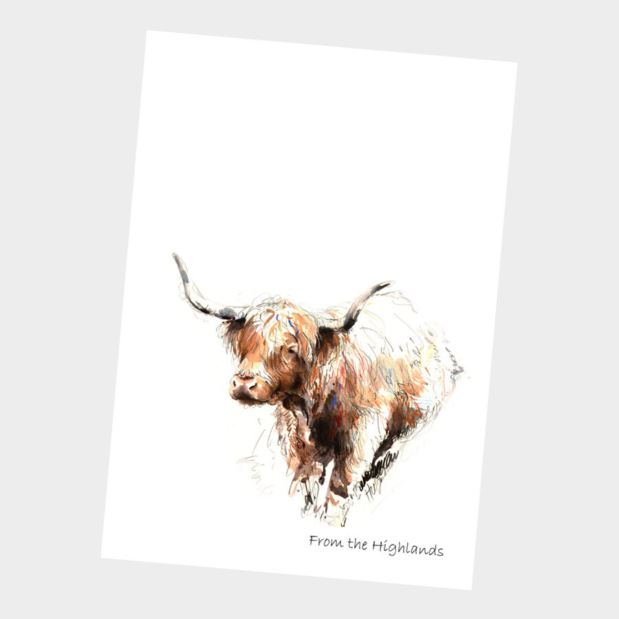 Highland Cow Card